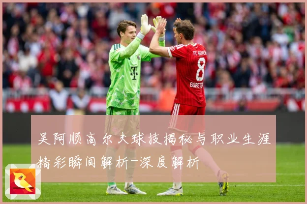 吴阿顺高尔夫球技揭秘与职业生涯精彩瞬间解析-深度解析