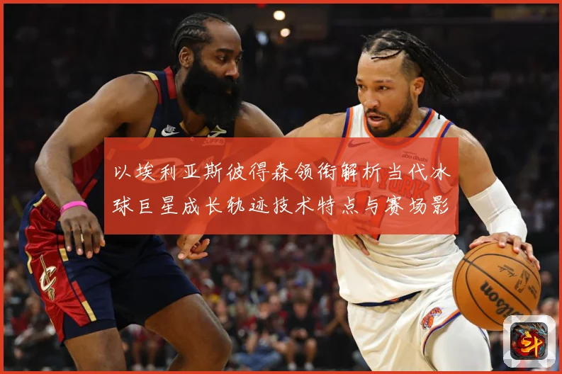 以埃利亚斯彼得森领衔解析当代冰球巨星成长轨迹技术特点与赛场影响力-深度解析