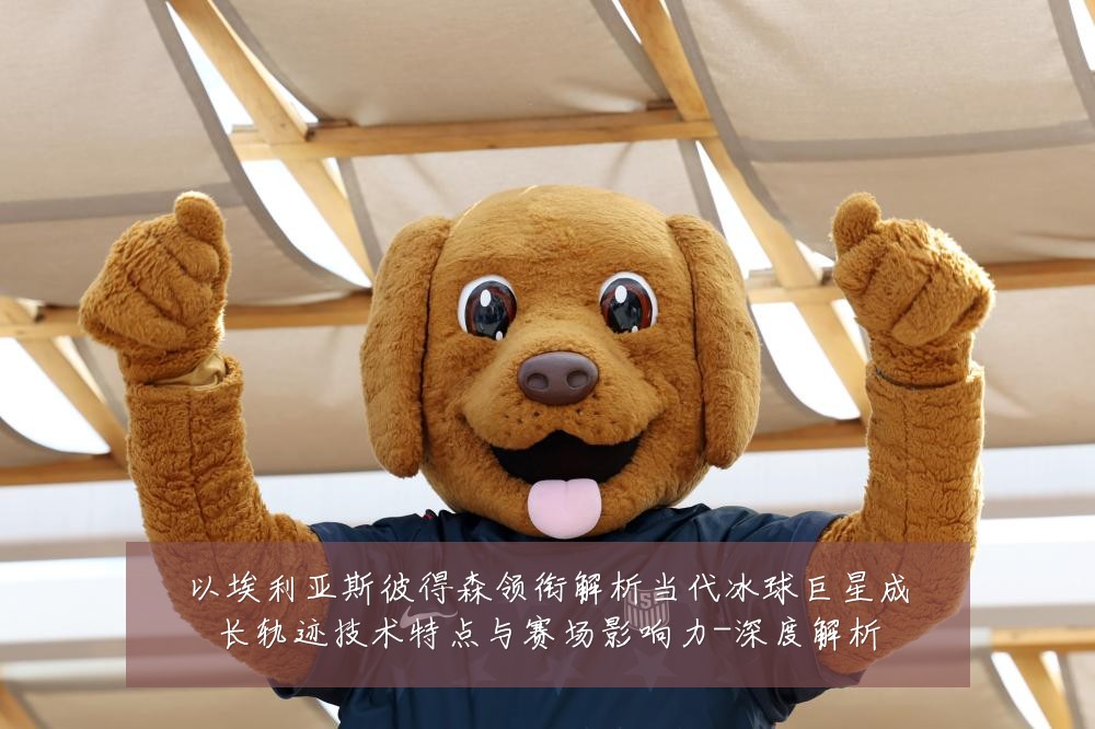 以埃利亚斯彼得森领衔解析当代冰球巨星成长轨迹技术特点与赛场影响力-深度解析